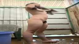 V0y