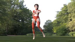 MMD