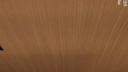たいちょー