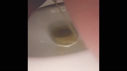 洋式