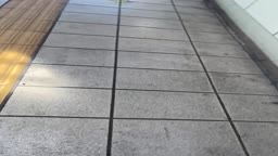 【電車対面・盗さつ4】