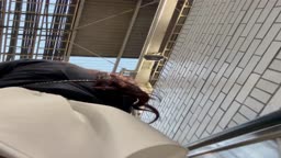 白さかさ