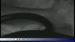 カー