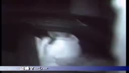 カー