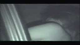 カー