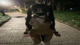 フル