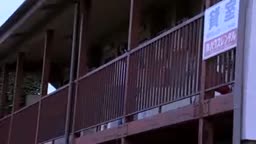 Intruder