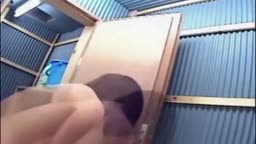 巨乳 シャワー