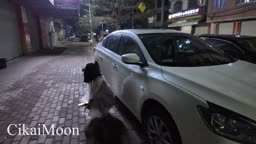 Cikaimoon 透明雨衣露出购物