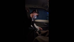 超可愛い先生