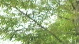 【旧作】悪ふざけ A PRACTICAL JOKE