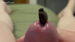Into my bladder
