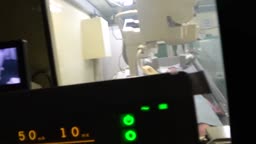 拾い物28