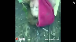 slp drunk forest cum