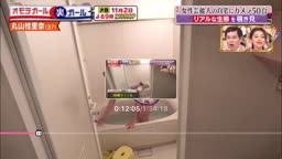 丸○桂○奈風呂モザイク
