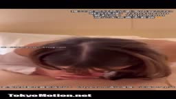 白豚8