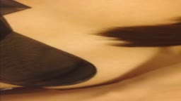 スタイル抜群の子