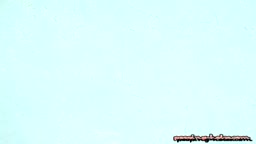 モデル
