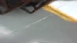Compañeritos del work me deja puntear su culo
