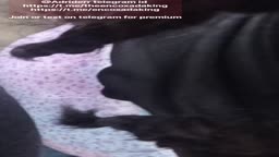 Hot encoxada