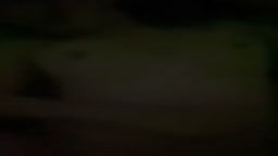 ハメ
