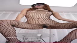 C DANCE40