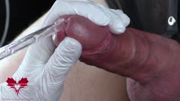 femdom 尿道