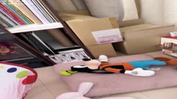 居乳