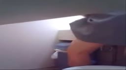 おしっこ