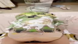 ナヒーダ