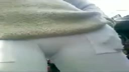 Pata de camelo enorme da gatinha no ponto de ônibus