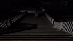 野外露出　2