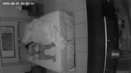 ip cam 8