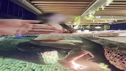 路上の伝説