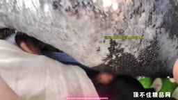 Encoxada Dickflash cum ass