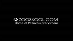 ZooSkool - Anna & Magdalena - Friends & Lovers (KinkCafe). Zooporn. Dog sex.