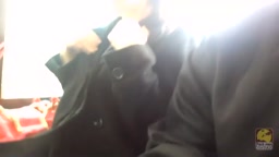 バス痴漢　逃さず好き放題