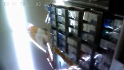 In the skirt of a Japanese woman