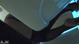 Korean toilet