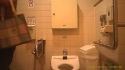 Japanese toilet