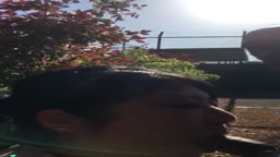 変態セフレ　アナル舐め　口内発射