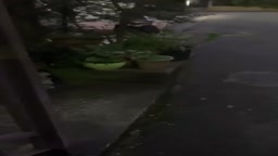 めくれてるよ！