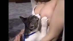 猫おっぱい