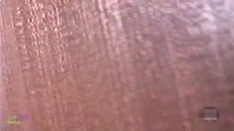 性犯罪盗撮 - TOKYO Motion