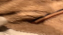 女上司が睡眠中に盗撮
