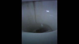 toilet27