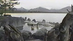 11pm 秘湯の旅 川湯温泉(北海道)柴田葵