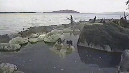 11pm 秘湯の旅 川湯温泉(北海道)柴田葵
