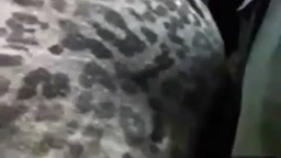 痴漢 chikan​ dick on​ bus​ 2