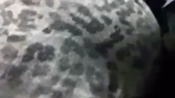 痴漢 chikan​ dick on​ bus​ 2